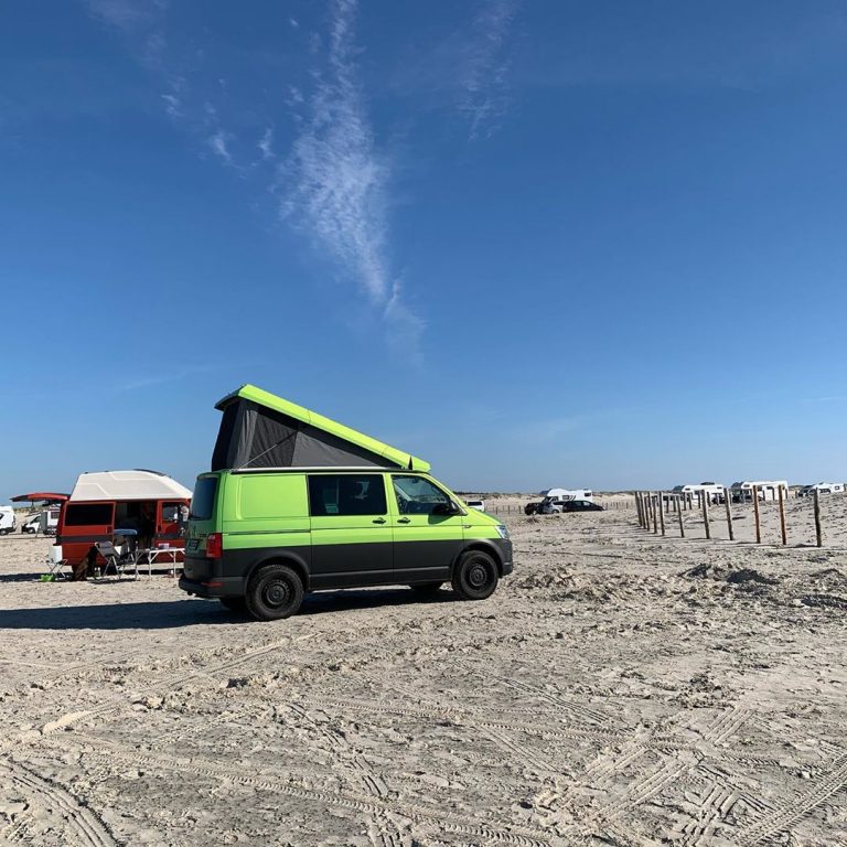 100073511 258582071997737 4775869278589820471 n 768x768