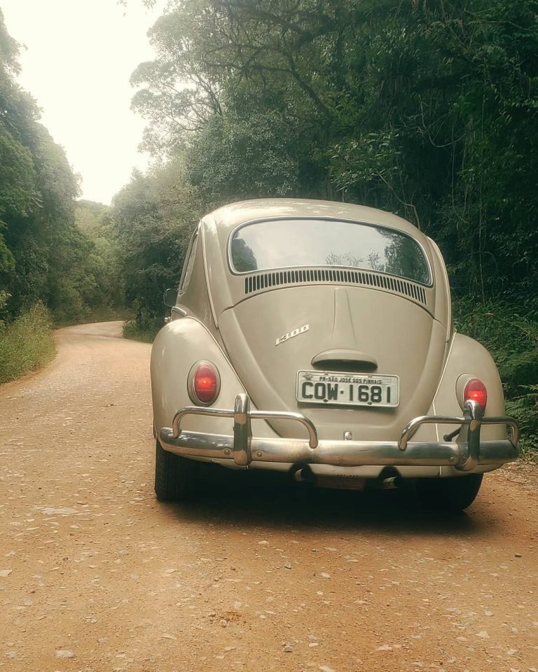 100800061 293201501697250 5153745665839286430 n 768x960