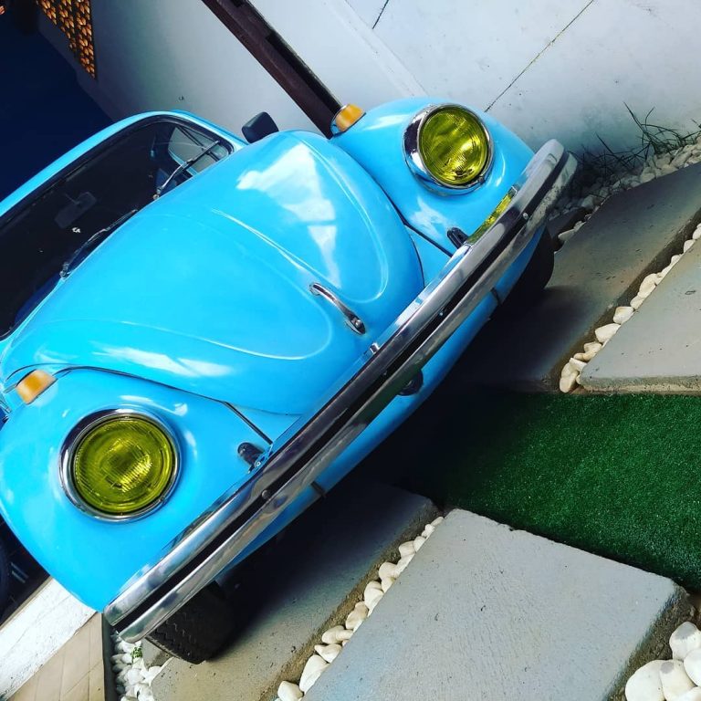 92885655 1147272295625583 3138387987416955345 n 768x768