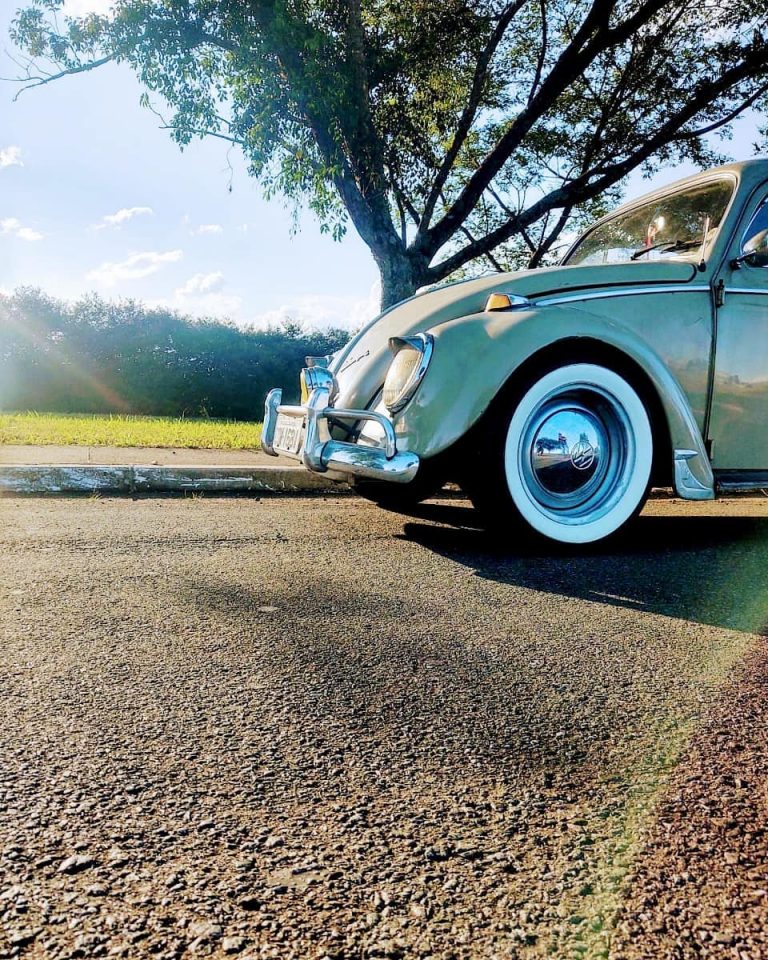 93156581 2923077021071475 5860656937880590752 n 768x960