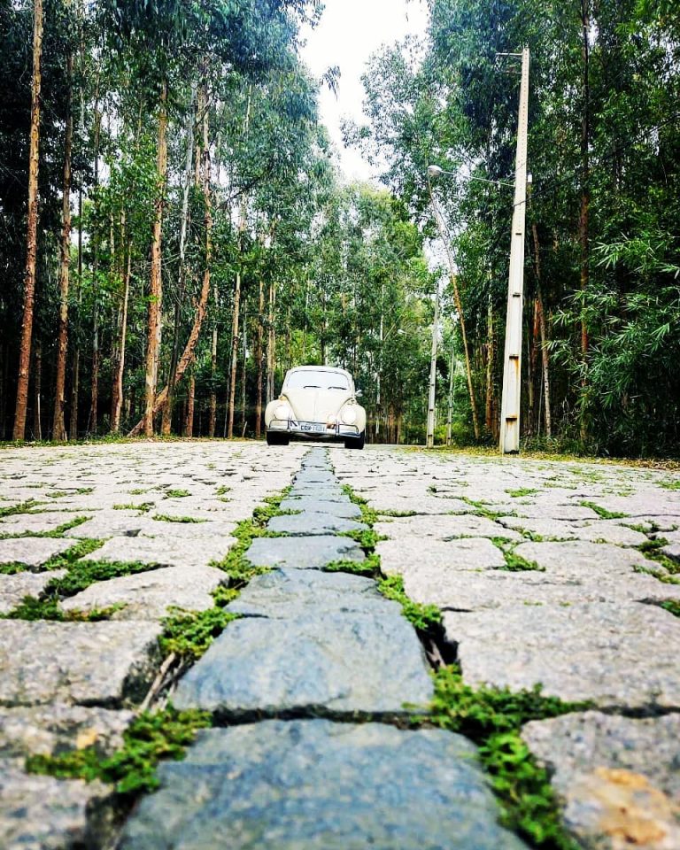 94102051 906437669804441 9080777196956896056 n 768x960