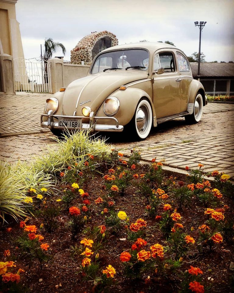 94206721 271325480566464 4266637688703394260 n 768x960