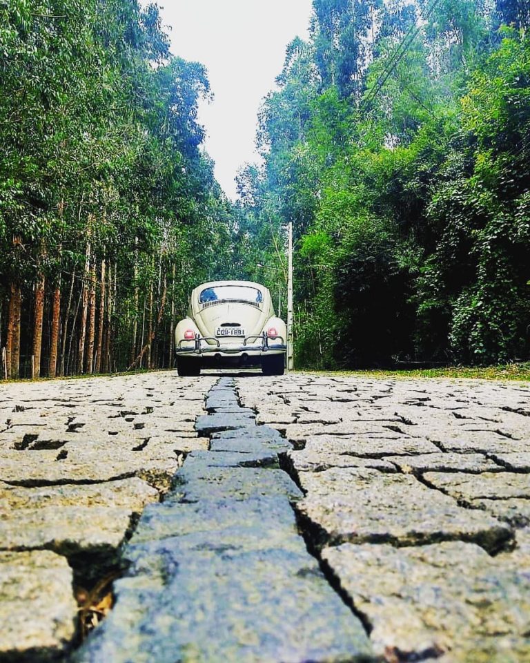 94492330 856686431499938 392673869500341846 n 768x960