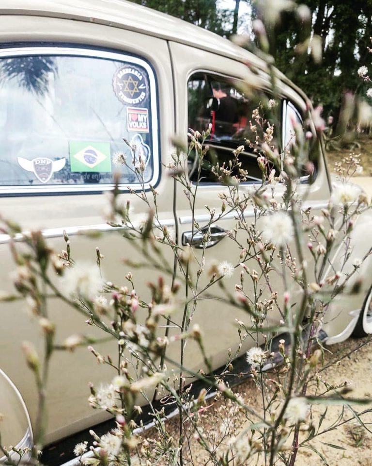 94691561 228460128407504 3857566711093611901 n 768x960