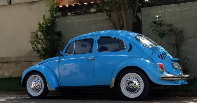 94709188 266110411098154 7958720202692448758 n 768x402