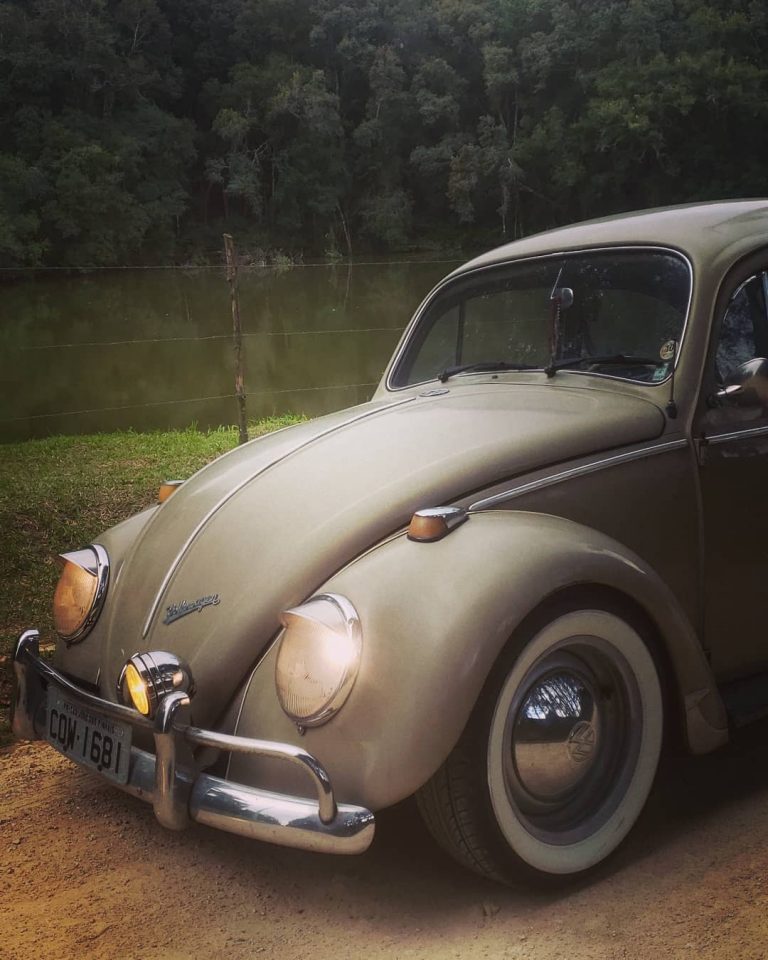 95211655 617995432086801 3767092530760300805 n 768x960