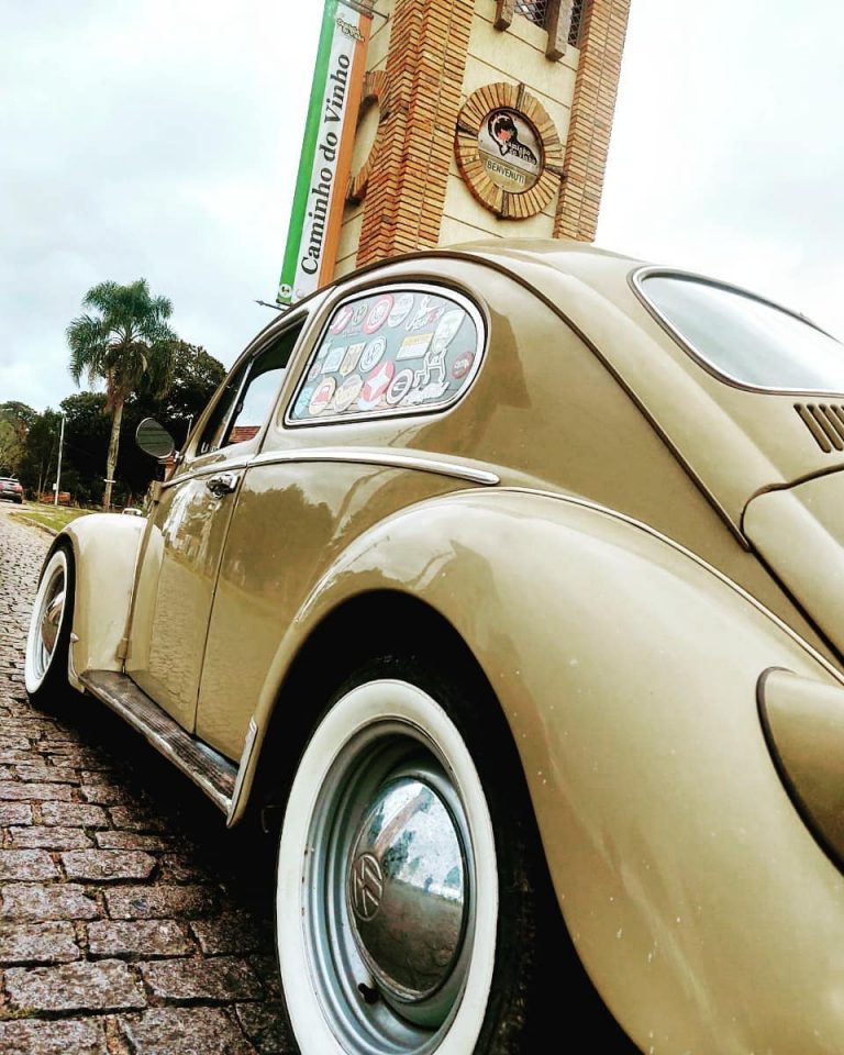 95371627 109039183985600 2626837315424706898 n 768x960