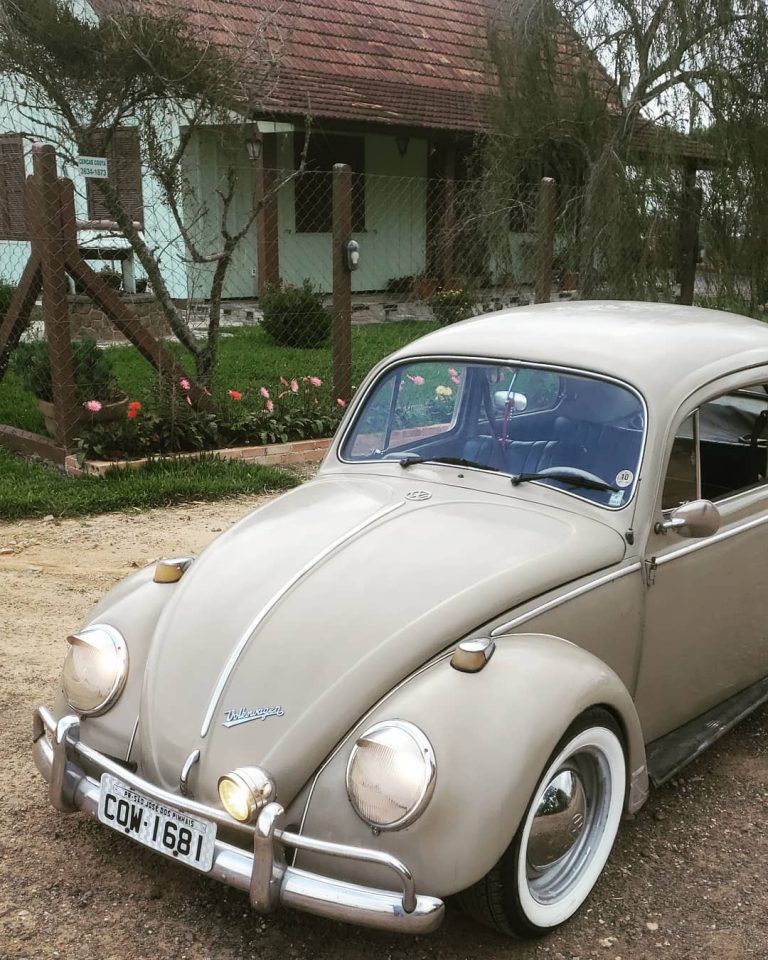 95856208 591899081429861 1691124902644765971 n 768x960