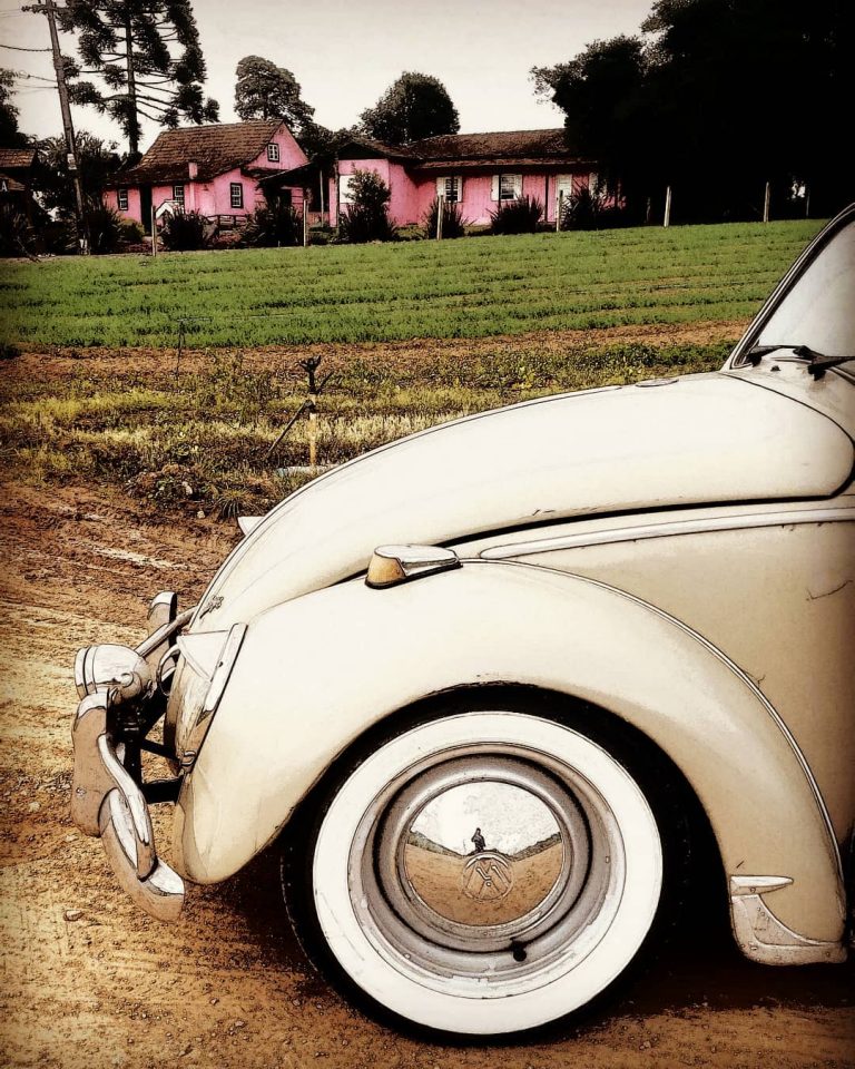 95975335 1284632345075800 26240922327025622 n 768x960