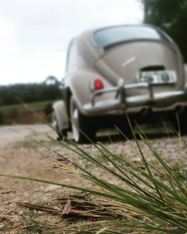 96000120 3321547507895400 8023673777357502563 n 768x960