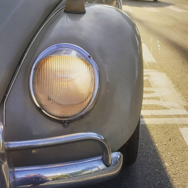 96375416 2826939577423431 3543075094549767084 n 768x768