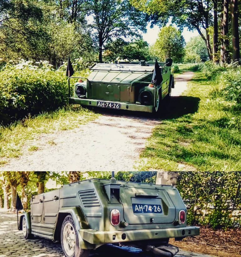 96377936 241139110556161 1602701932401541081 n 768x820