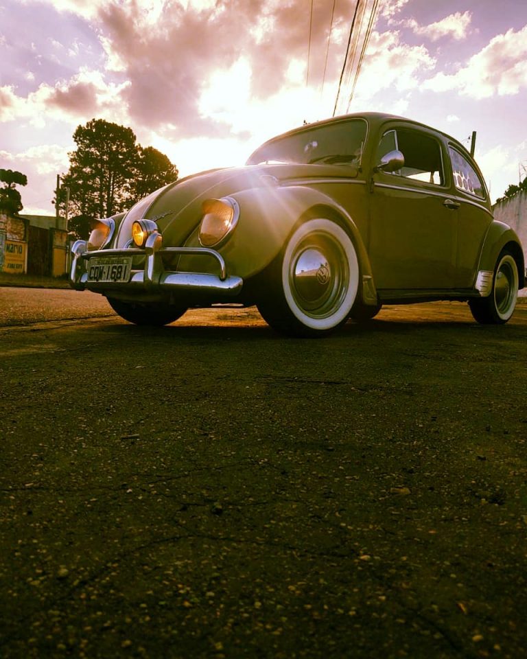 96535562 240274817224235 8444740978528881745 n 768x960