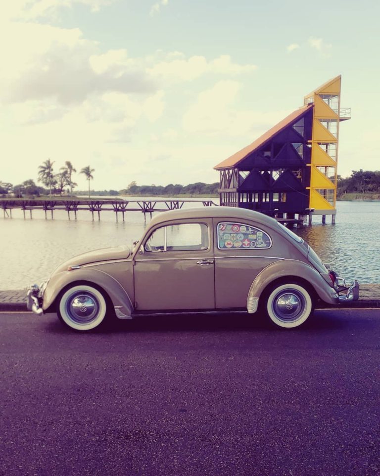 97153016 4226156104114834 6239893570141437358 n 768x960