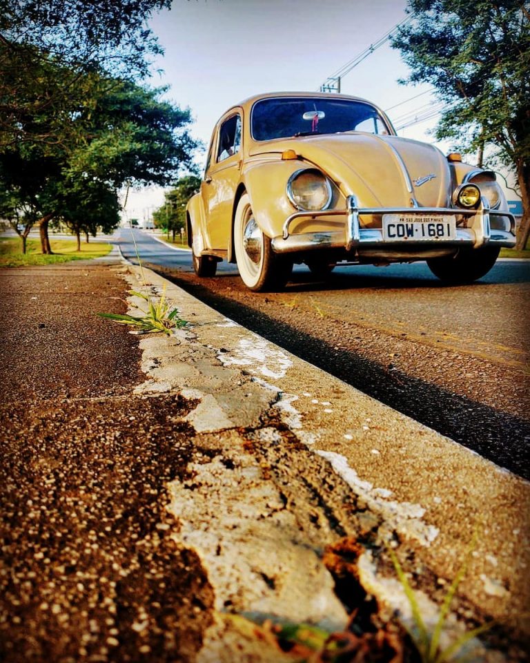 97212919 533127360923812 624682315188579348 n 768x960