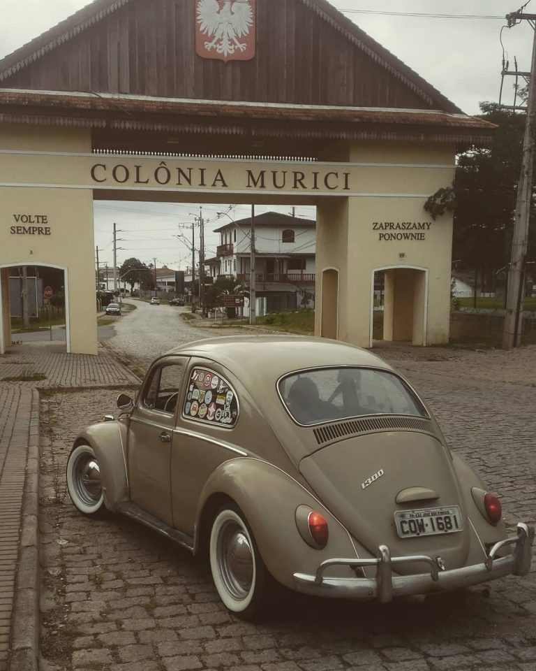 97329623 3350102995029415 1523594981495679879 n 768x960