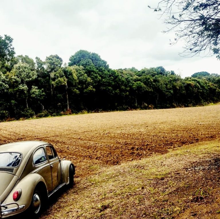 98407183 137259824570113 2992741662757251069 n 768x767