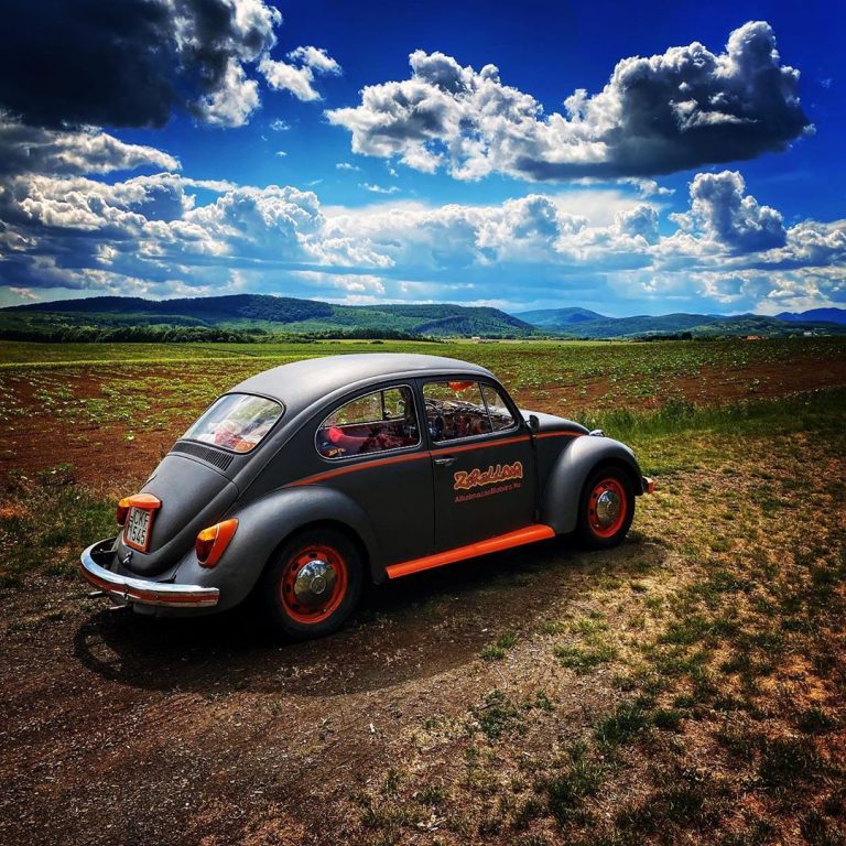 101134811 2591831327799564 3612440054886119463 n 768x768