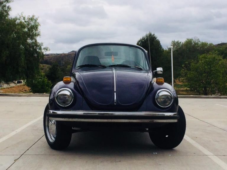 101391393 858047421356279 7356737528700862464 n 768x576