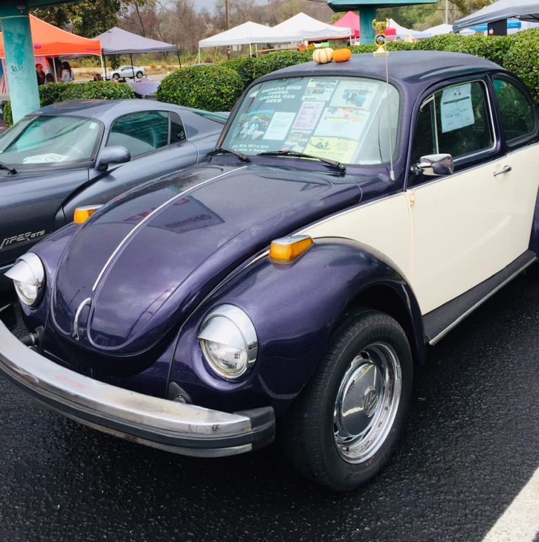 101500529 858047414689613 2173947922217959424 n 768x773