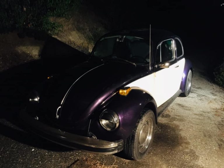 101654611 858047321356289 2204940401930928128 n 768x576