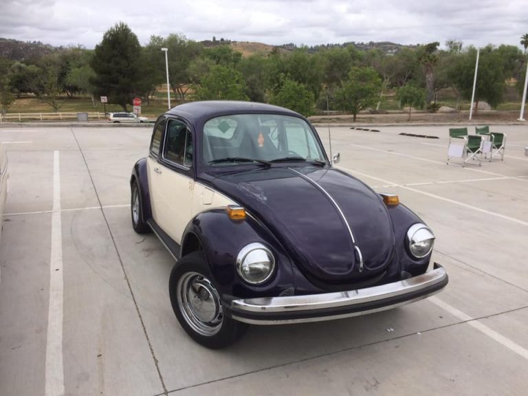 101982200 858047378022950 4860516288750944256 n 768x576