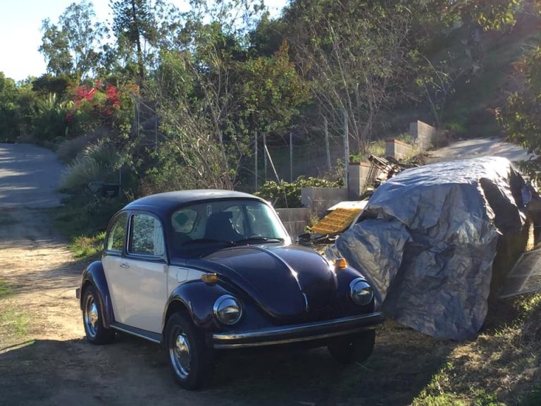 102322995 858047341356287 1110256175661711360 n 768x576