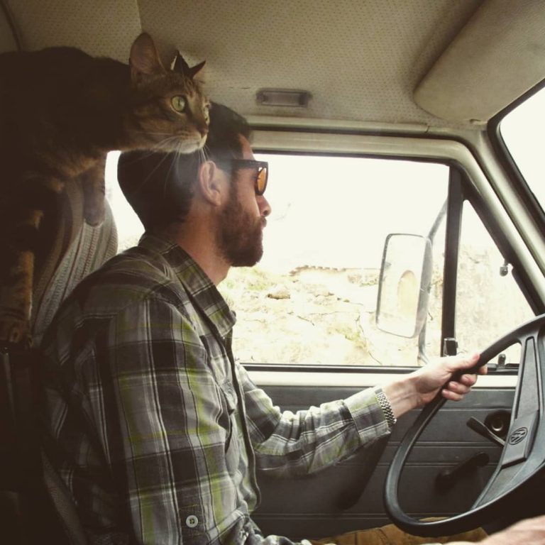 43985526 1900631456656799 869375929869958654 n 768x768