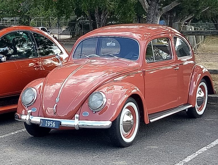 53790534 2400466356653180 8453863727345696768 o 768x582