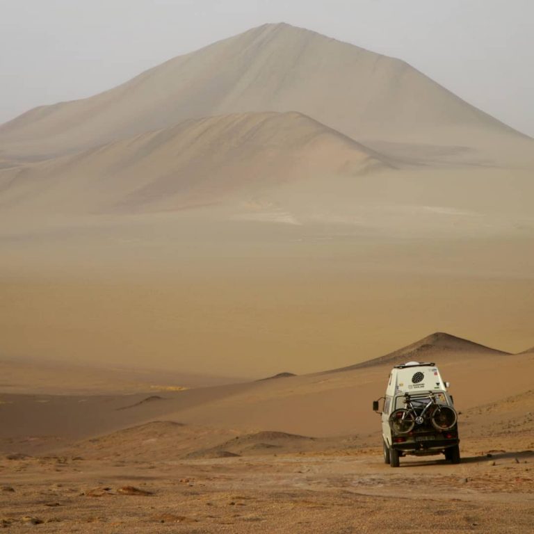 71723623 136518074322237 1640721013639254515 n 768x768