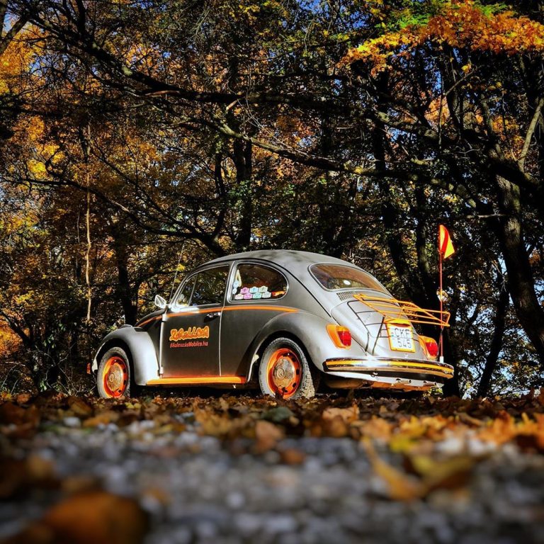 72210961 103849407658229 684342111962785912 n 768x768