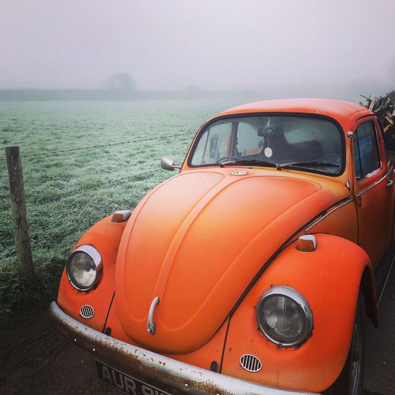 83279243 451944572352133 5258110254448741211 n 768x768