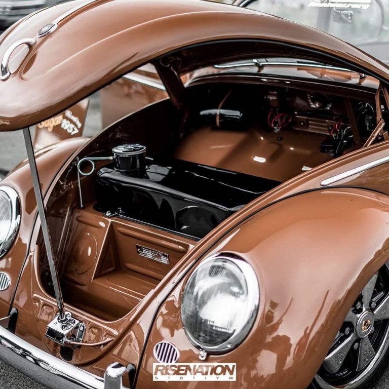 65008381 201625927492684 7828974999351896467 n 768x768