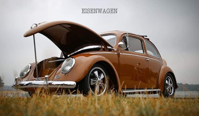 66959804 214654916188408 3602947688059654569 n 768x448